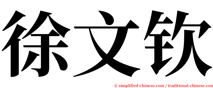 徐文钦 serif font
