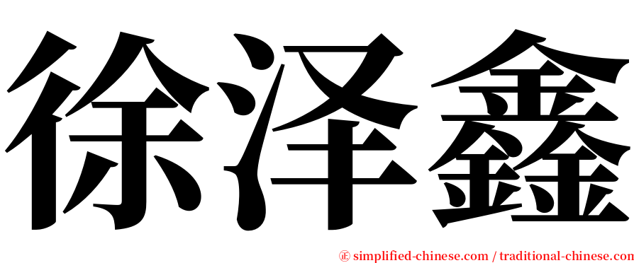 徐泽鑫 serif font