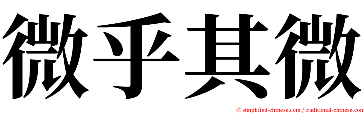 微乎其微 serif font