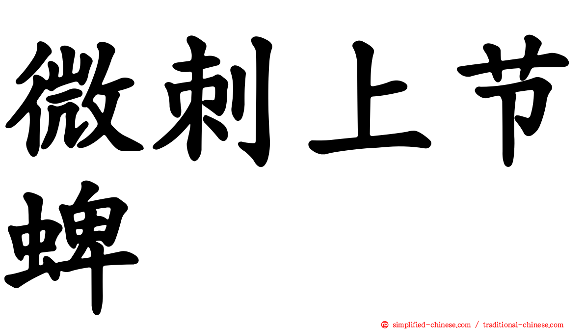 微刺上节蜱