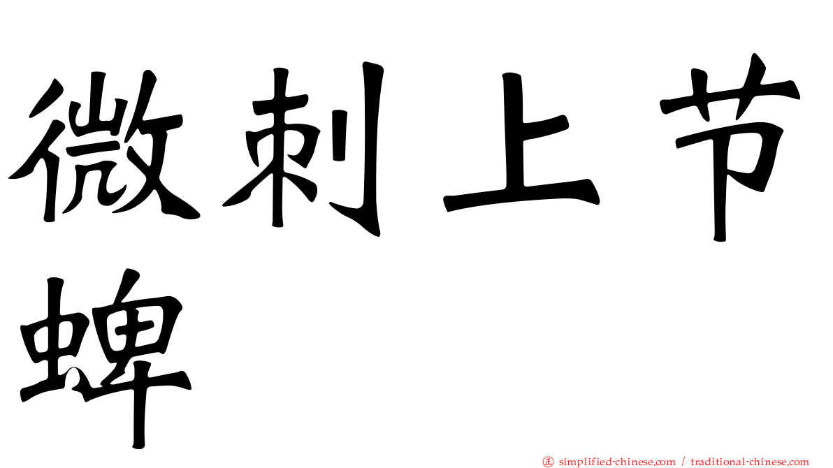 微刺上节蜱