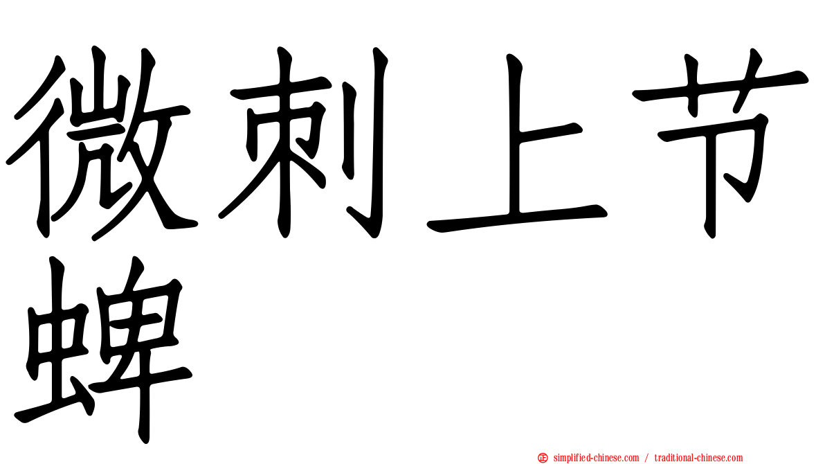 微刺上节蜱