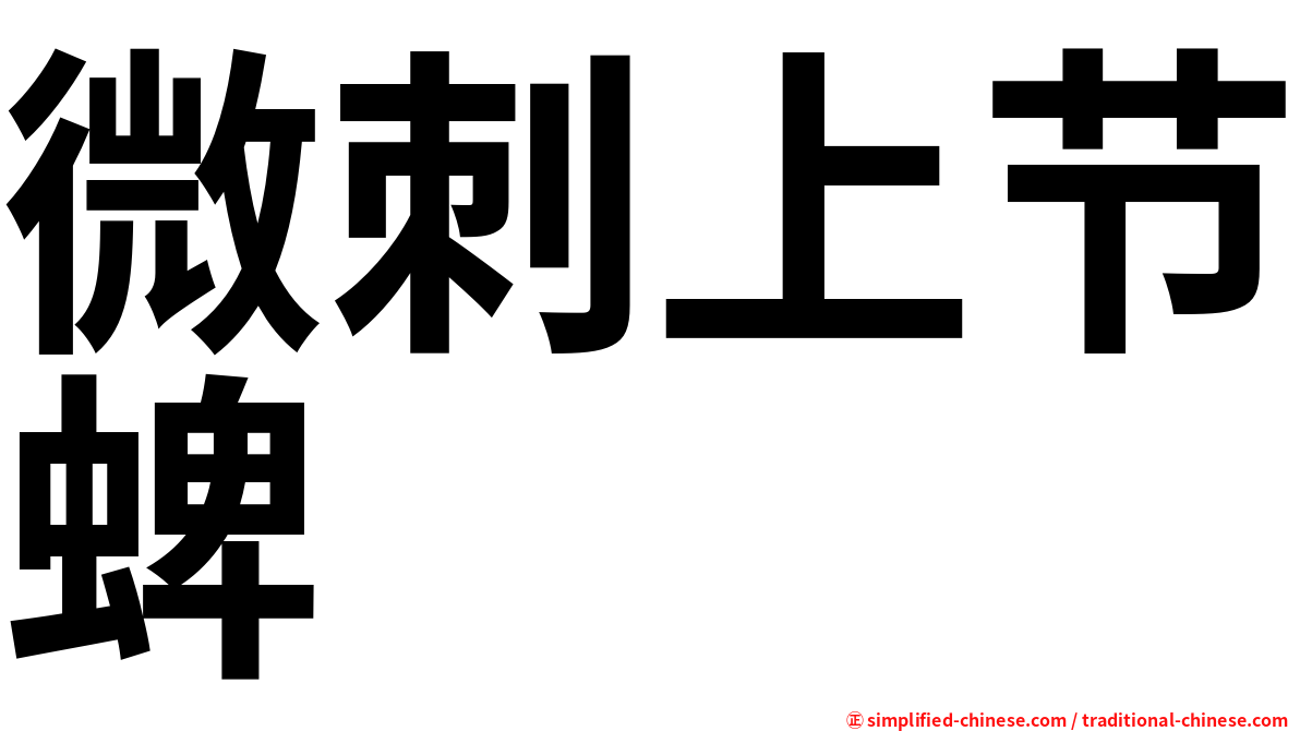 微刺上节蜱