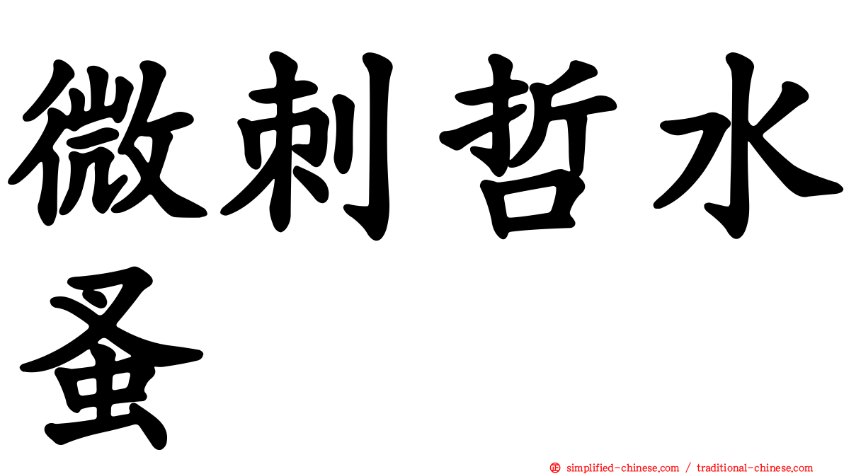 微刺哲水蚤