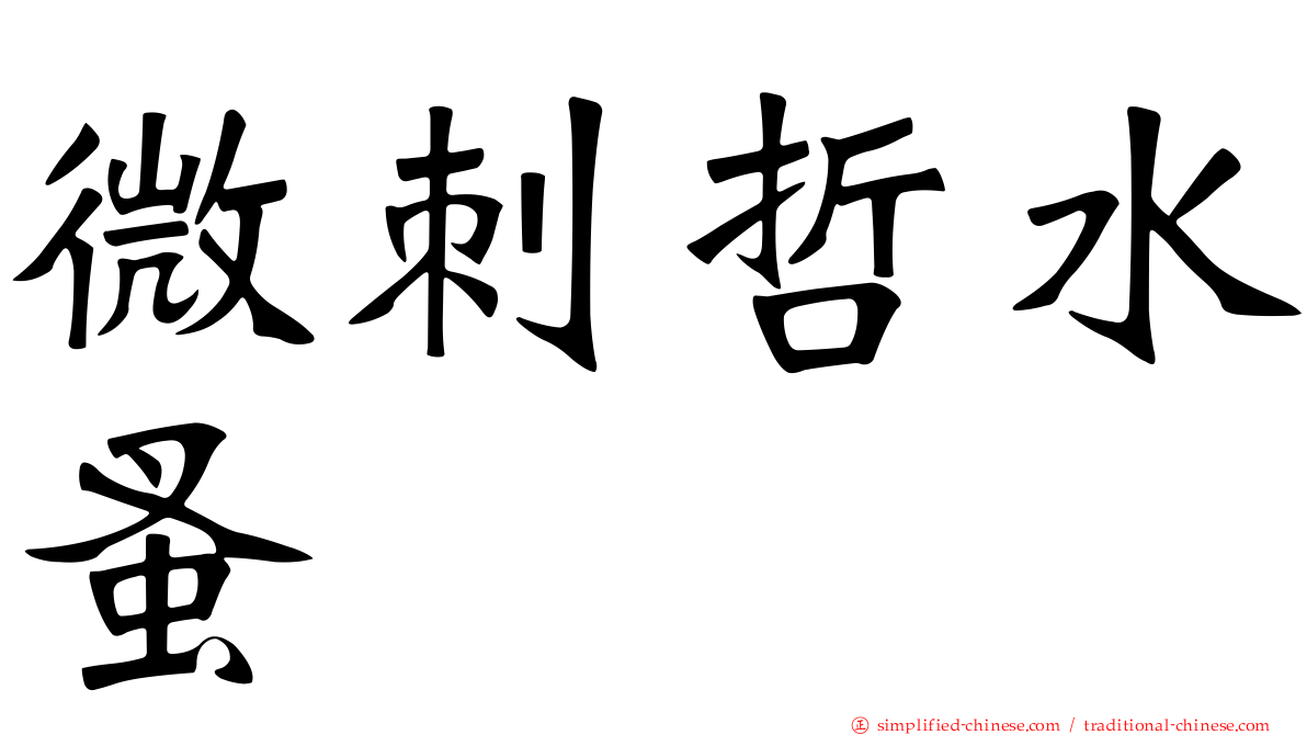 微刺哲水蚤