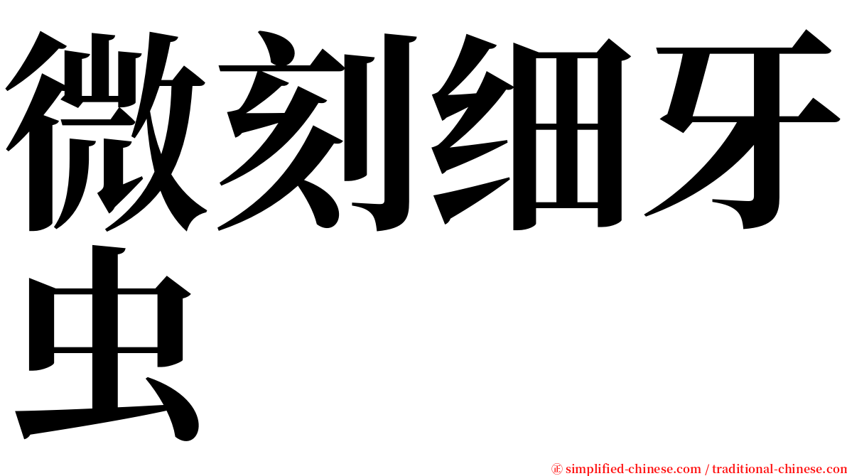 微刻细牙虫 serif font
