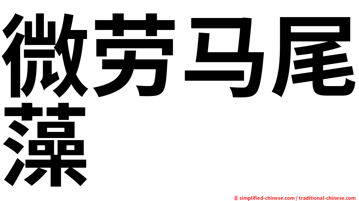 微劳马尾藻