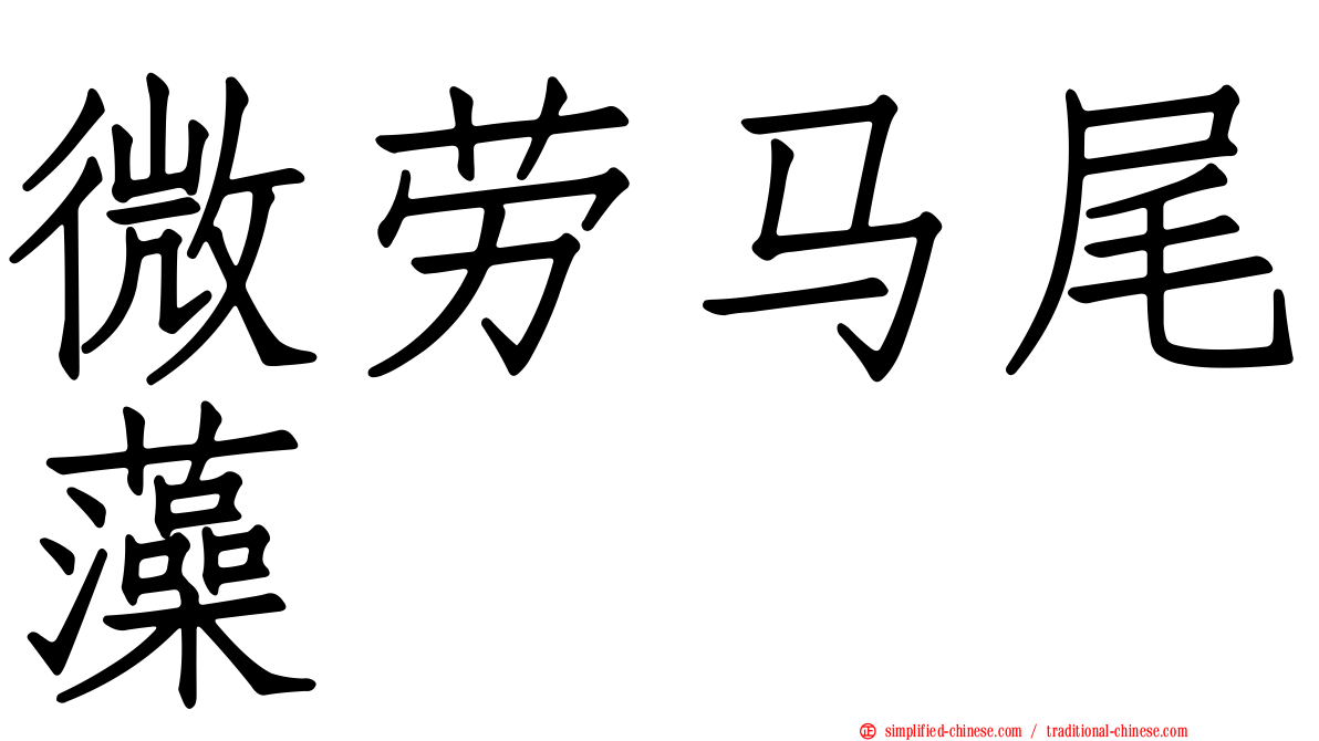 微劳马尾藻