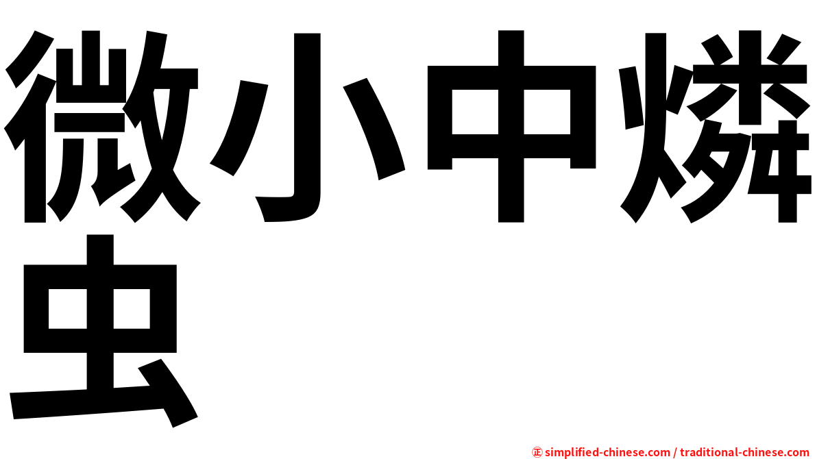 微小中燐虫