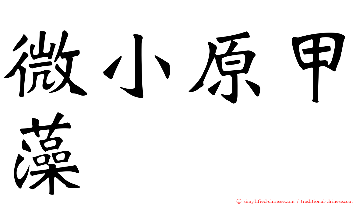 微小原甲藻