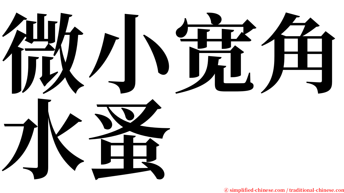 微小宽角水蚤 serif font