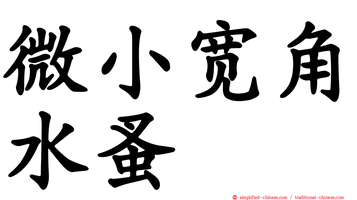 微小宽角水蚤