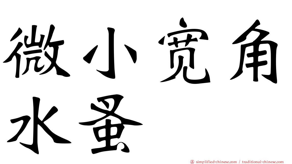 微小宽角水蚤