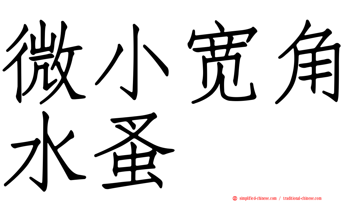 微小宽角水蚤