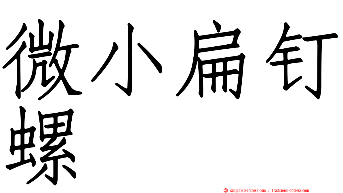 微小扁钉螺