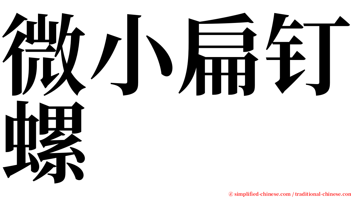 微小扁钉螺 serif font