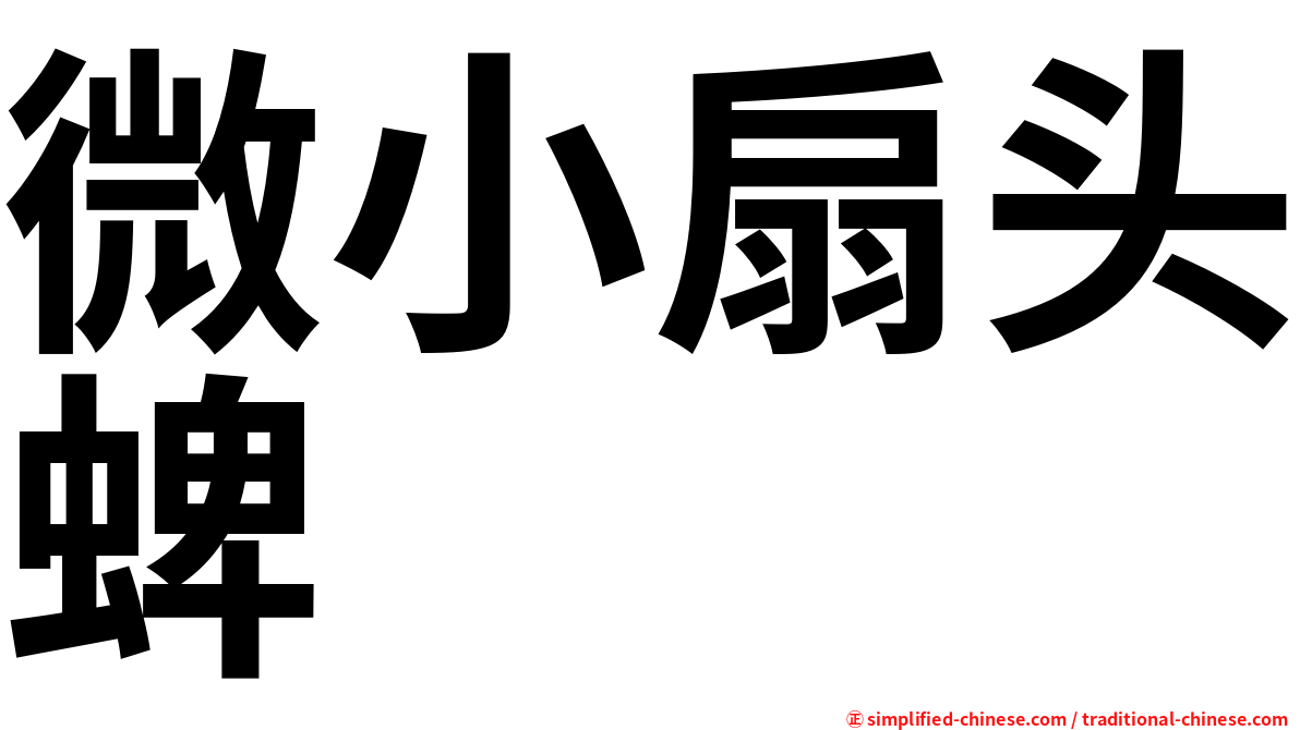 微小扇头蜱
