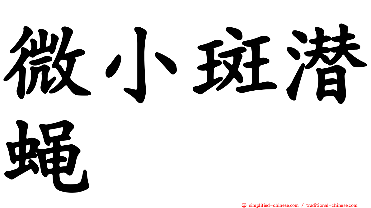 微小斑潜蝇