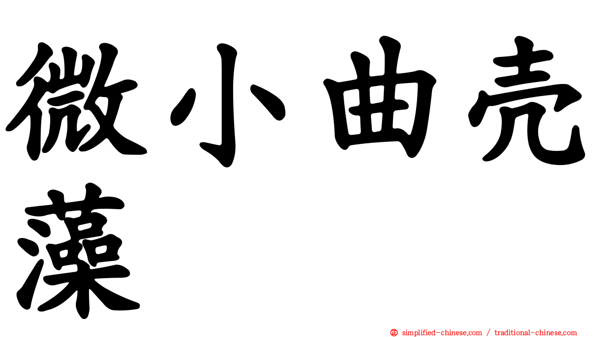 微小曲壳藻
