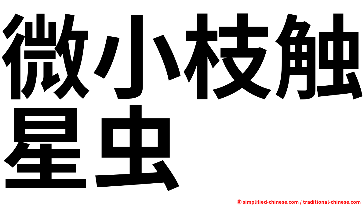 微小枝触星虫
