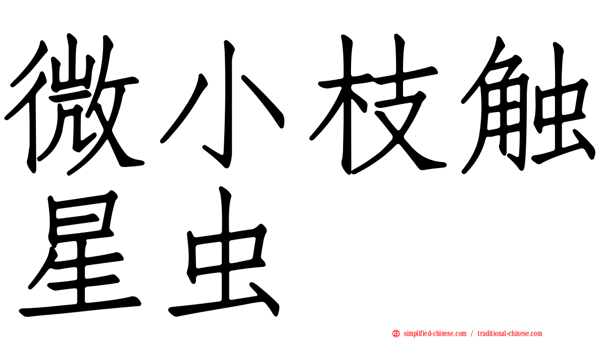微小枝触星虫