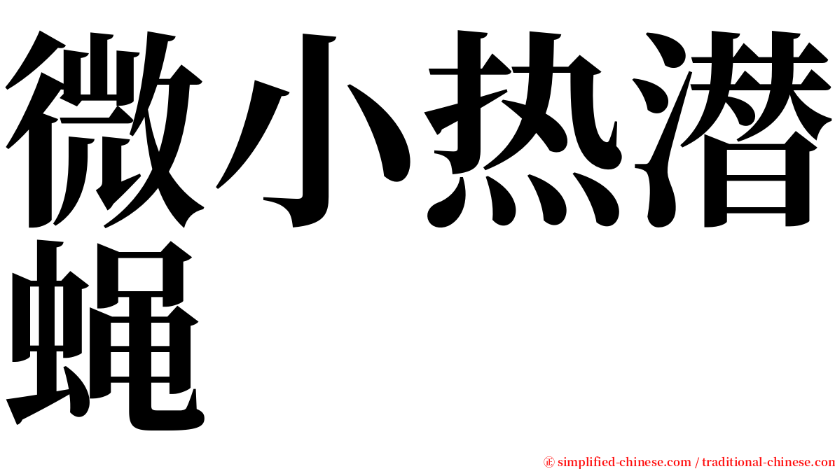 微小热潜蝇 serif font