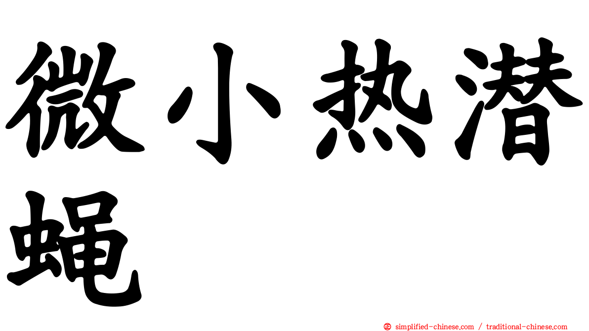 微小热潜蝇