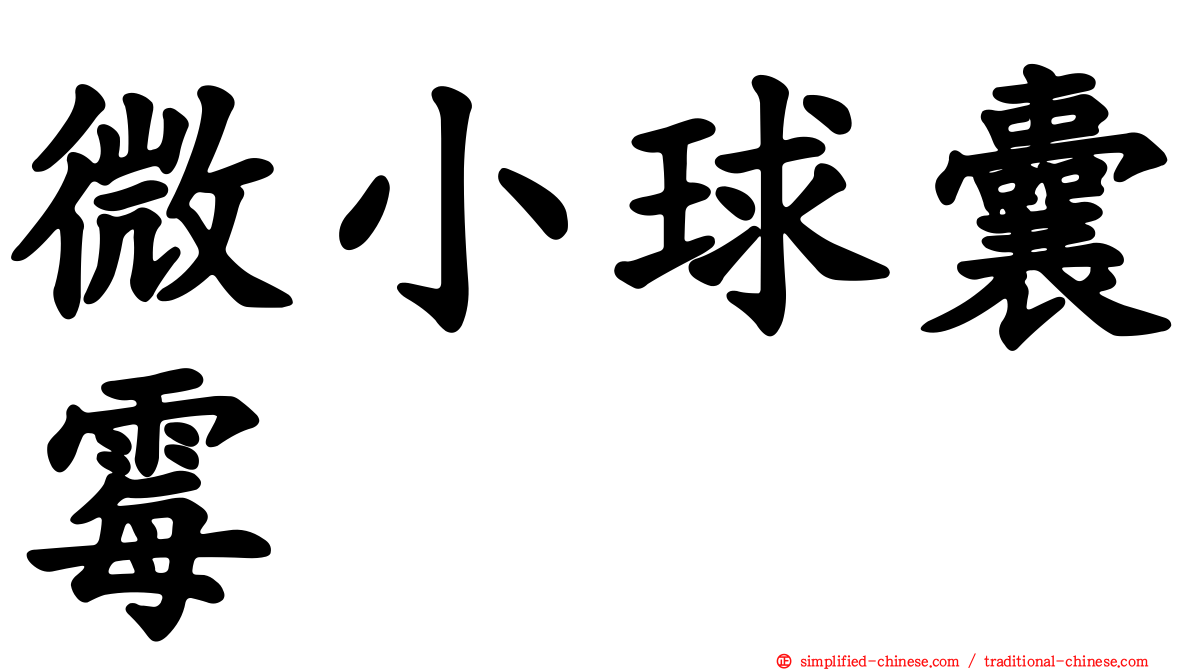 微小球囊霉
