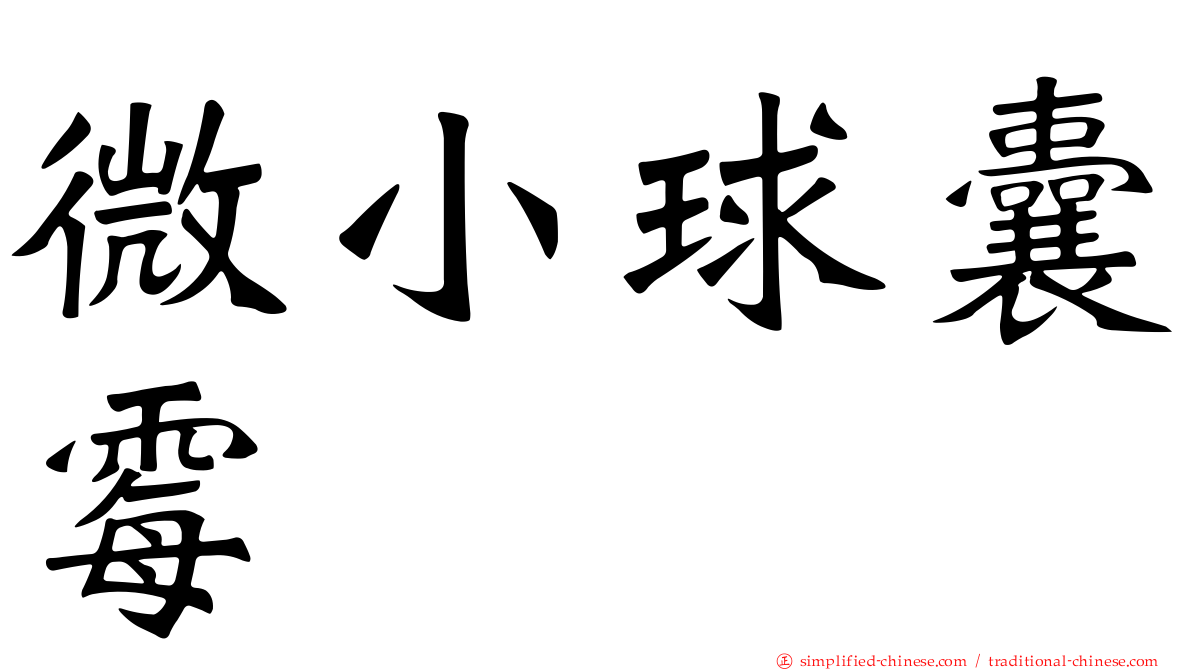 微小球囊霉
