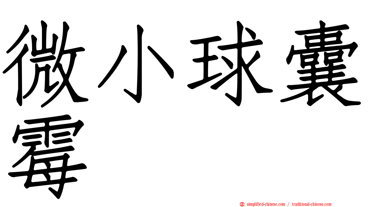 微小球囊霉