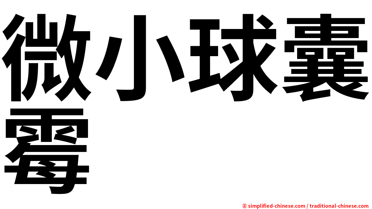 微小球囊霉