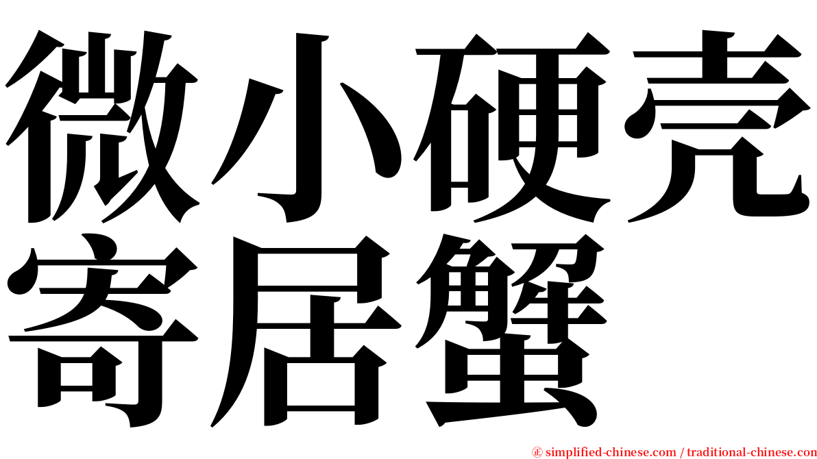 微小硬壳寄居蟹 serif font