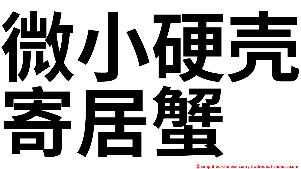微小硬壳寄居蟹