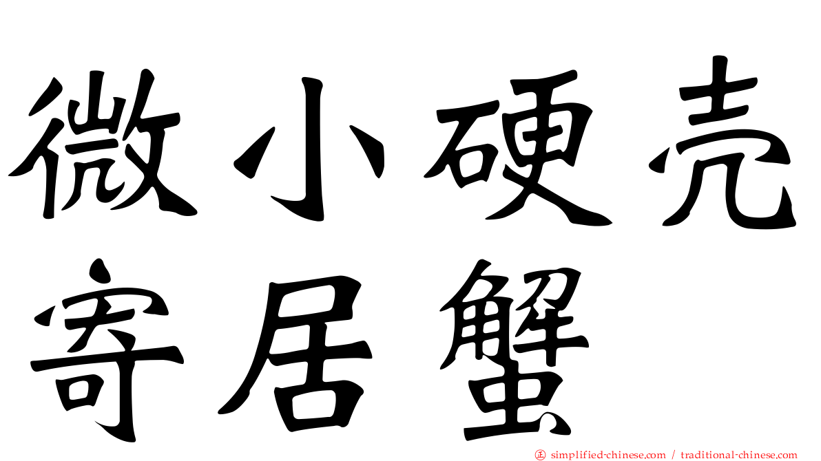 微小硬壳寄居蟹