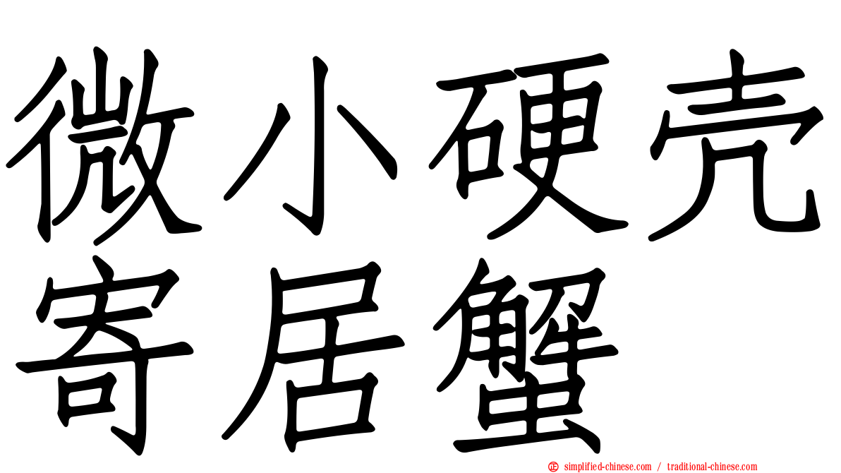 微小硬壳寄居蟹