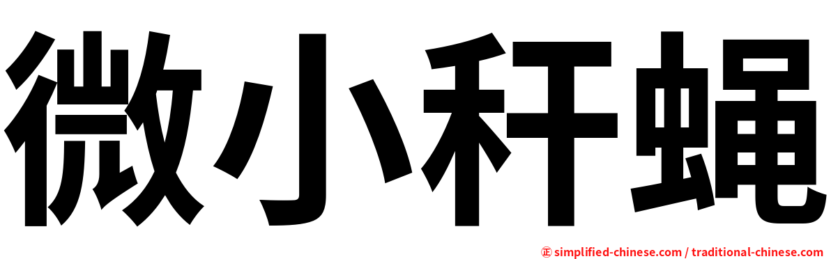 微小秆蝇