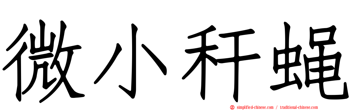 微小秆蝇