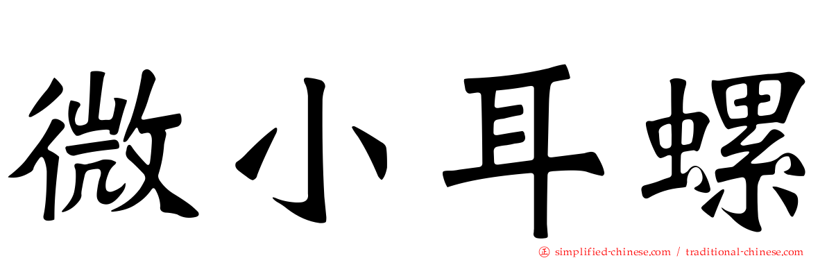 微小耳螺
