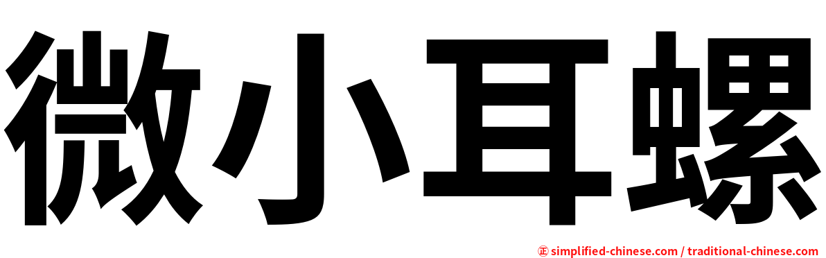 微小耳螺