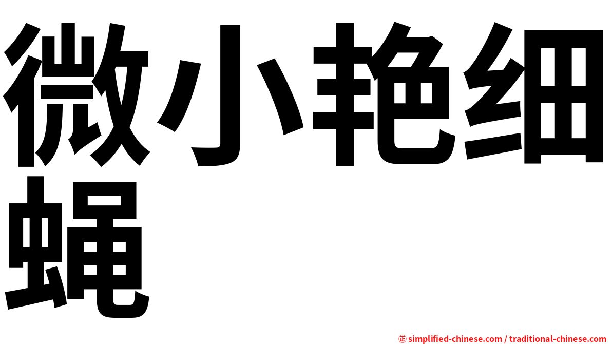 微小艳细蝇