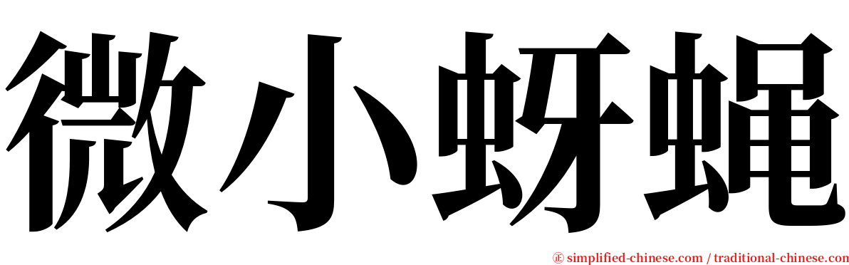 微小蚜蝇 serif font