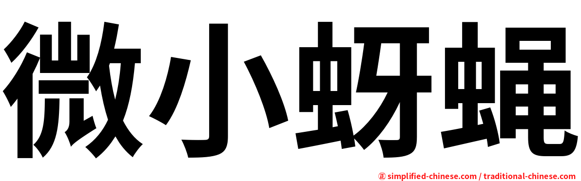 微小蚜蝇
