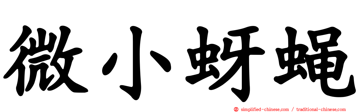 微小蚜蝇