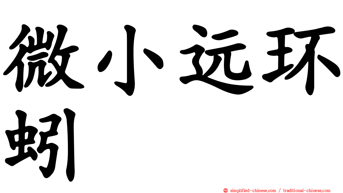 微小远环蚓