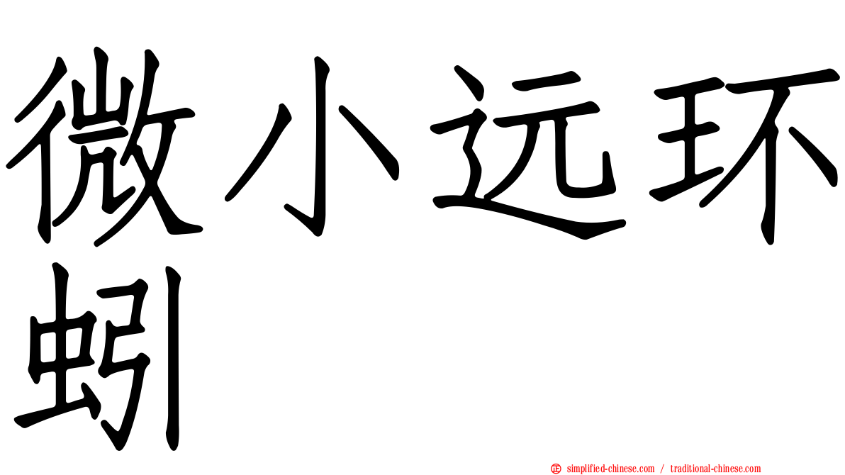 微小远环蚓