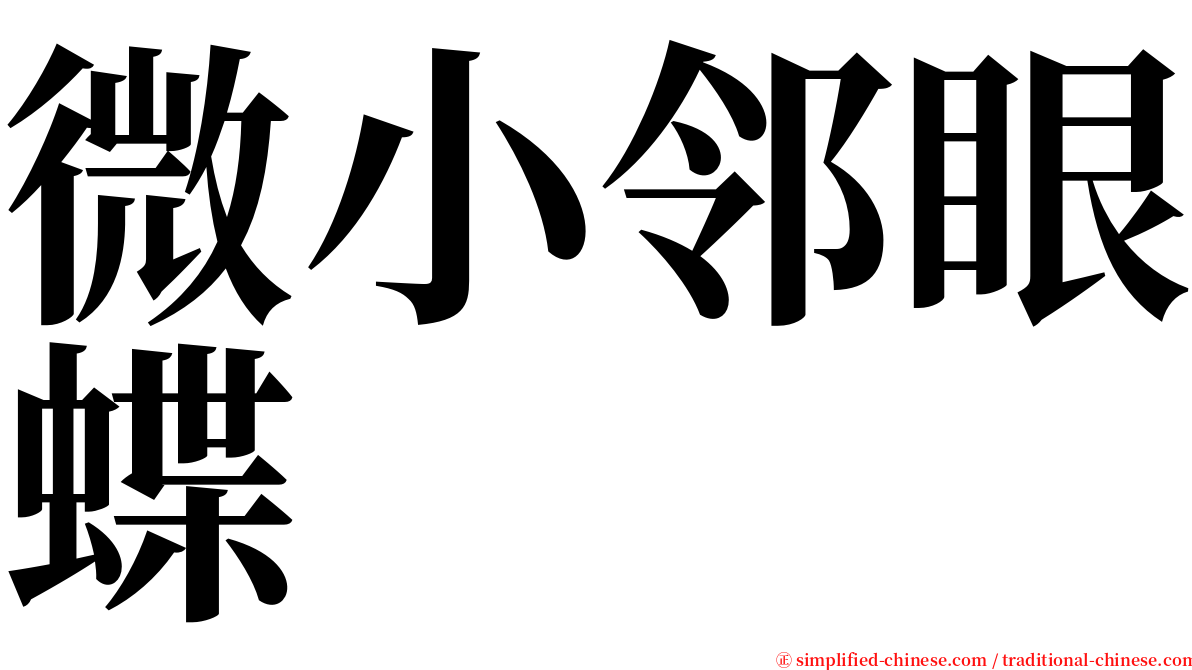 微小邻眼蝶 serif font