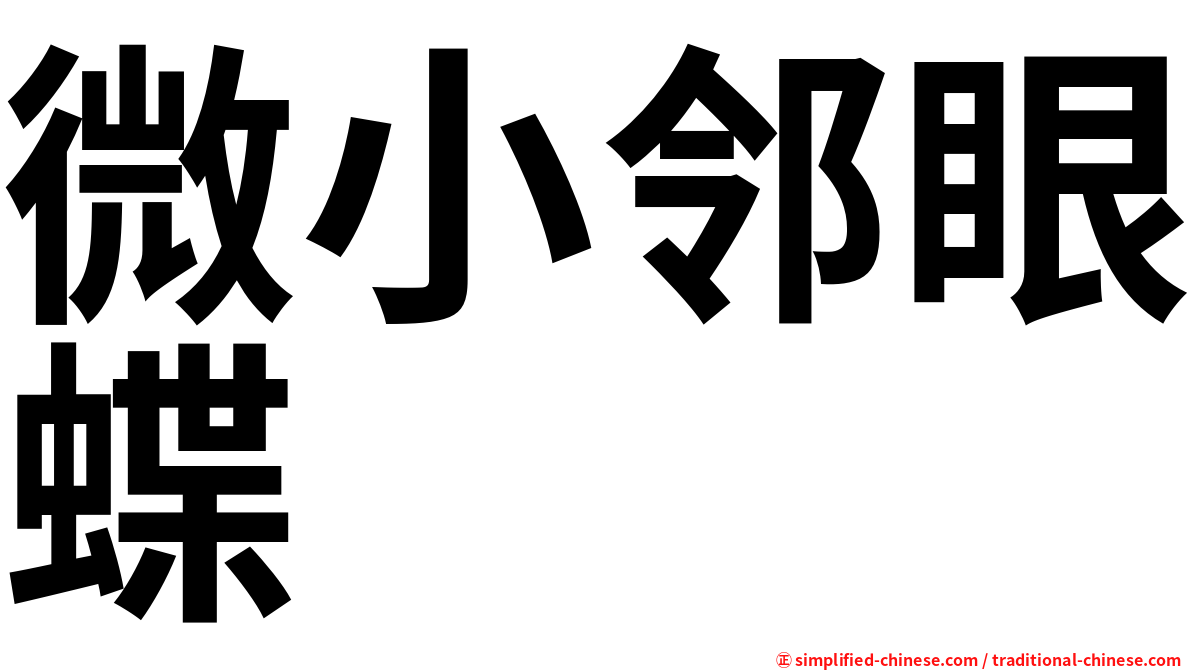 微小邻眼蝶