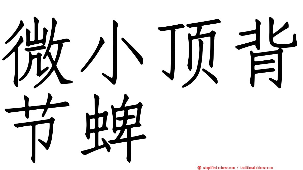 微小顶背节蜱