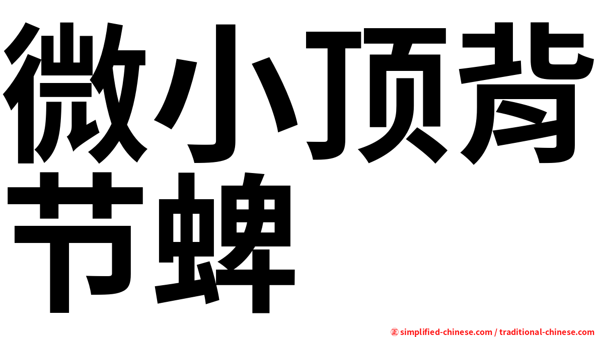 微小顶背节蜱