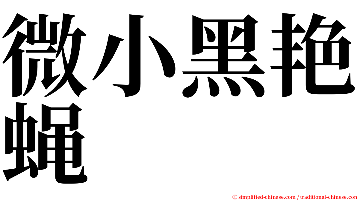 微小黑艳蝇 serif font